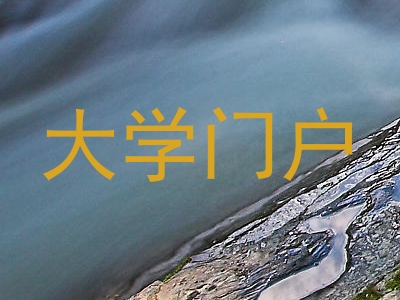 大学门户