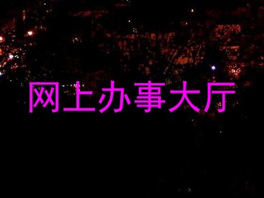 网上办事大厅