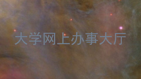 大学网上办事大厅