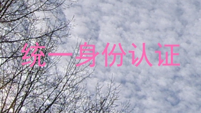 统一身份认证