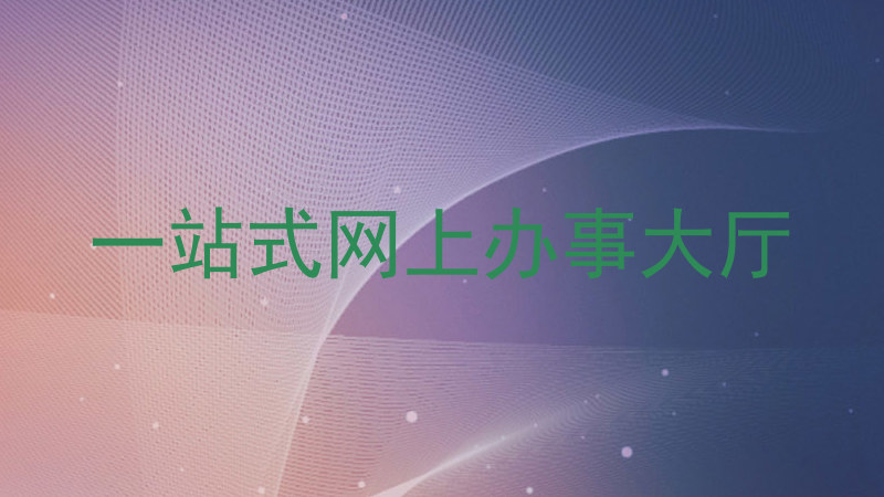 一站式网上办事大厅