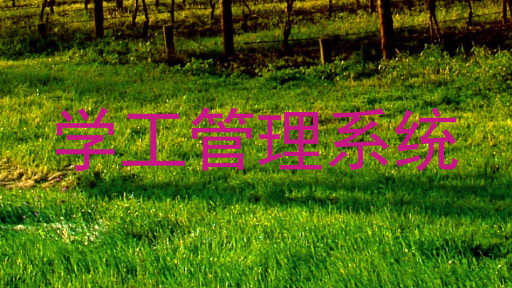 学工管理系统