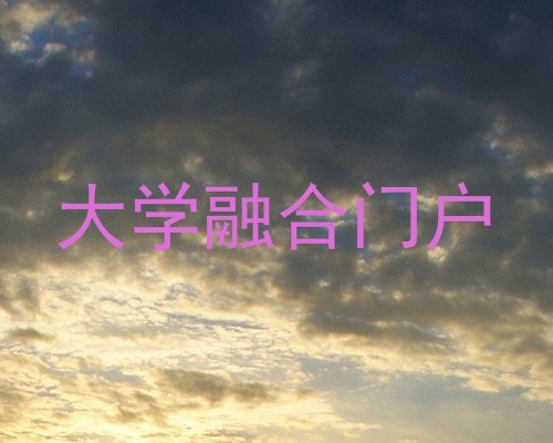 大学融合门户
