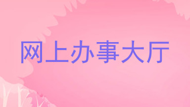 网上办事大厅