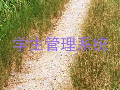 学生管理系统