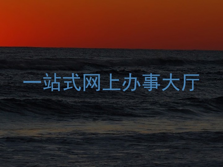 一站式网上办事大厅