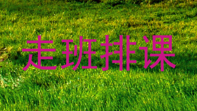走班排课