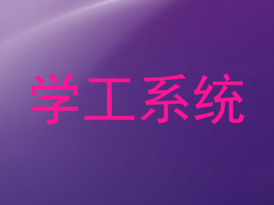 学工系统