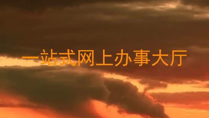 一站式网上办事大厅