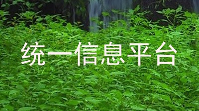 统一信息平台