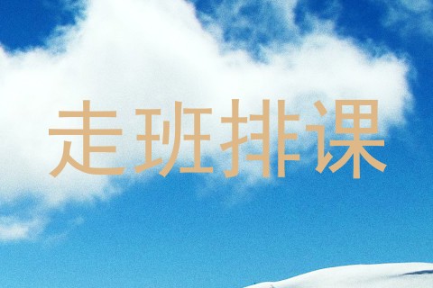走班排课