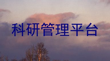 科研管理平台