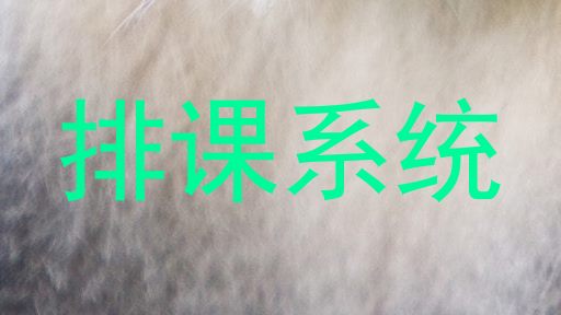 排课系统