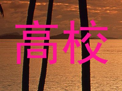 高校