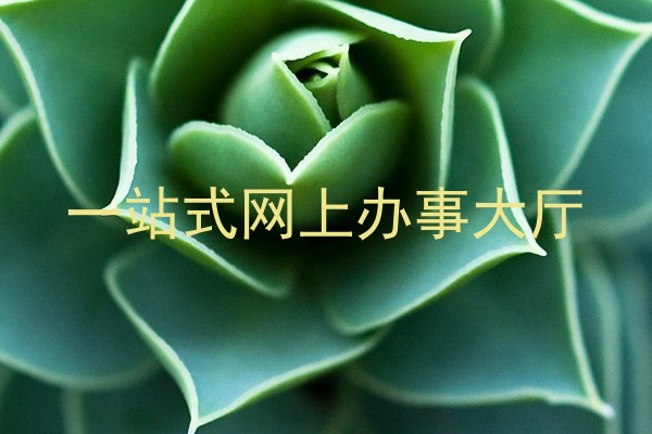 一站式网上办事大厅