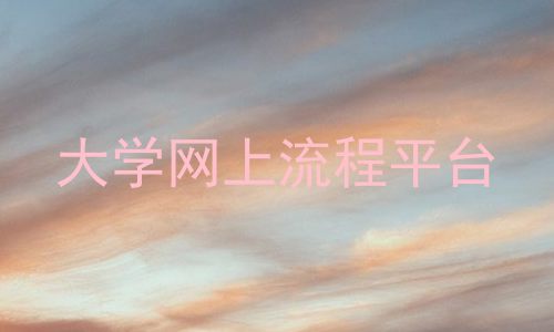 大学网上流程平台