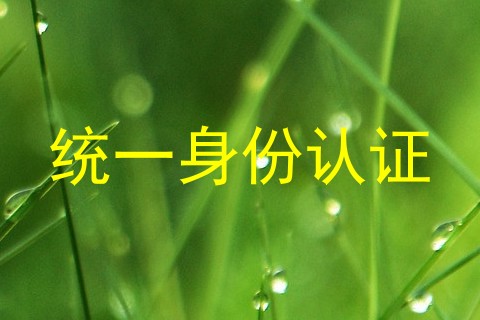 统一身份认证