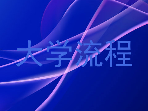 大学流程