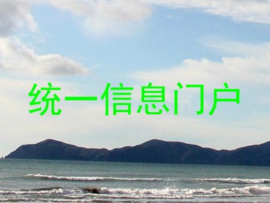 统一信息门户