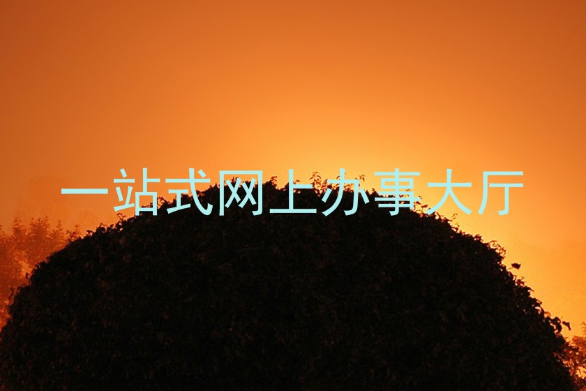 一站式网上办事大厅