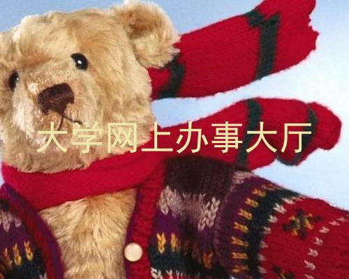 大学网上办事大厅