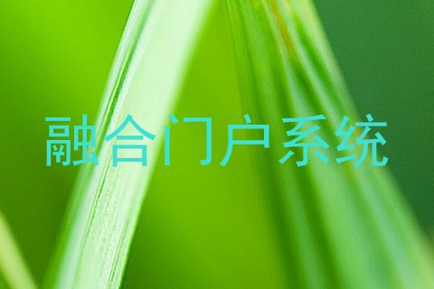 融合门户系统