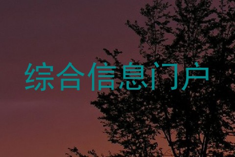 综合信息门户