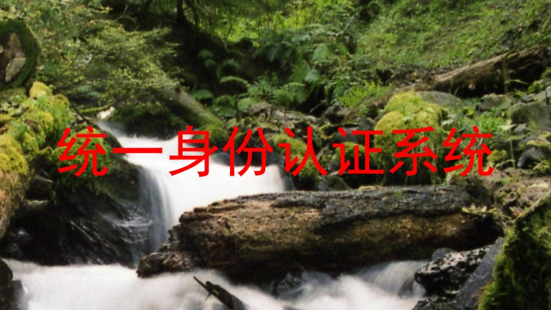 统一身份认证系统