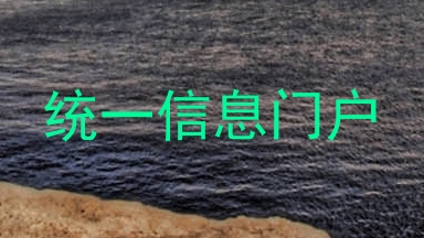 统一信息门户