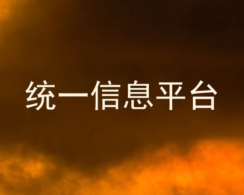 统一信息平台