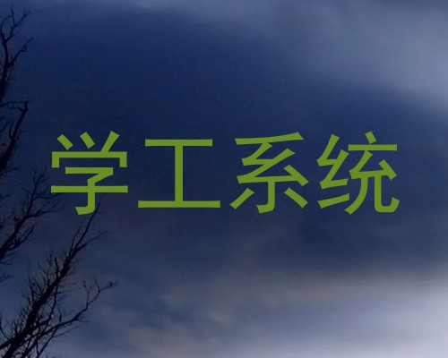 学工系统