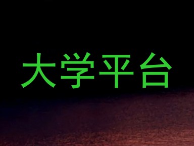 大学平台