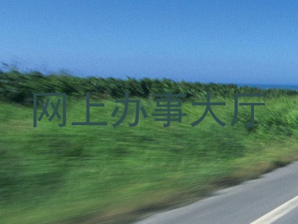 网上办事大厅