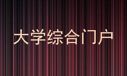 大学综合门户