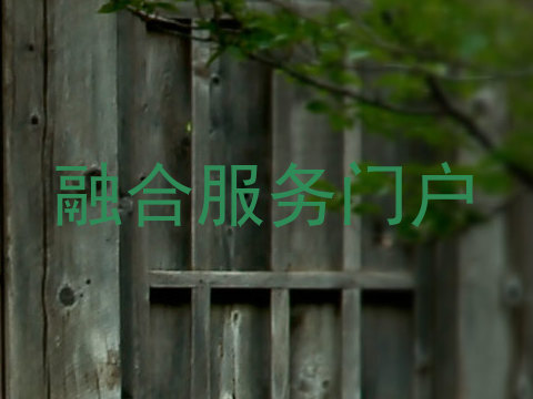 融合服务门户