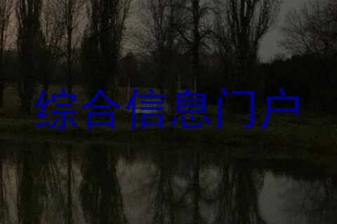 综合信息门户