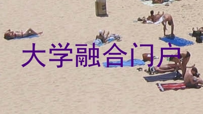 大学融合门户