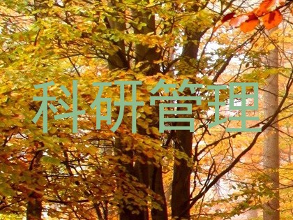 科研管理