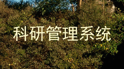 科研管理系统
