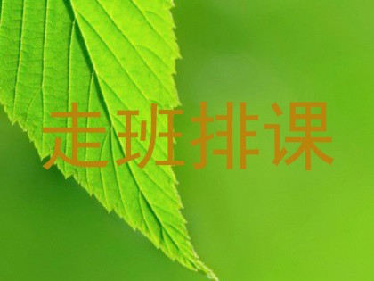 走班排课