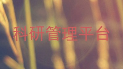 科研管理平台