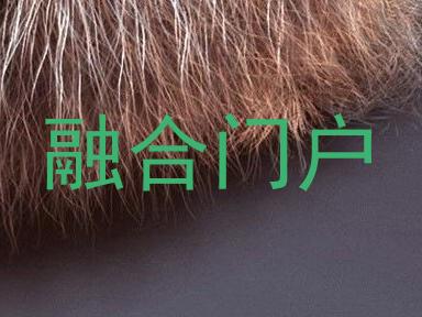 融合门户