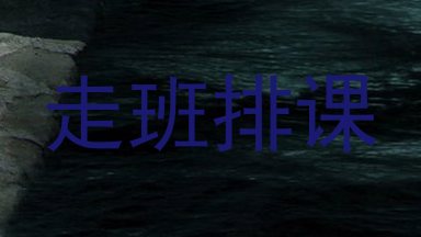 走班排课