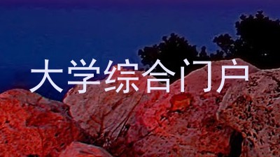 大学综合门户
