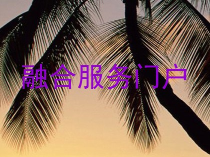 融合服务门户