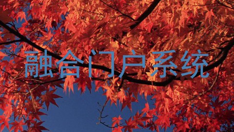 融合门户系统