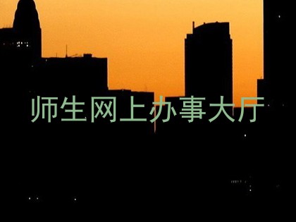 师生网上办事大厅