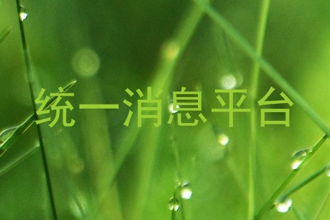 统一消息平台