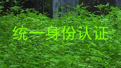 统一身份认证