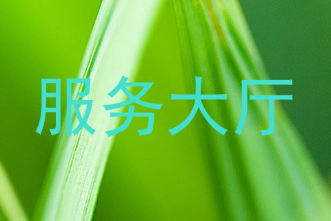 服务大厅